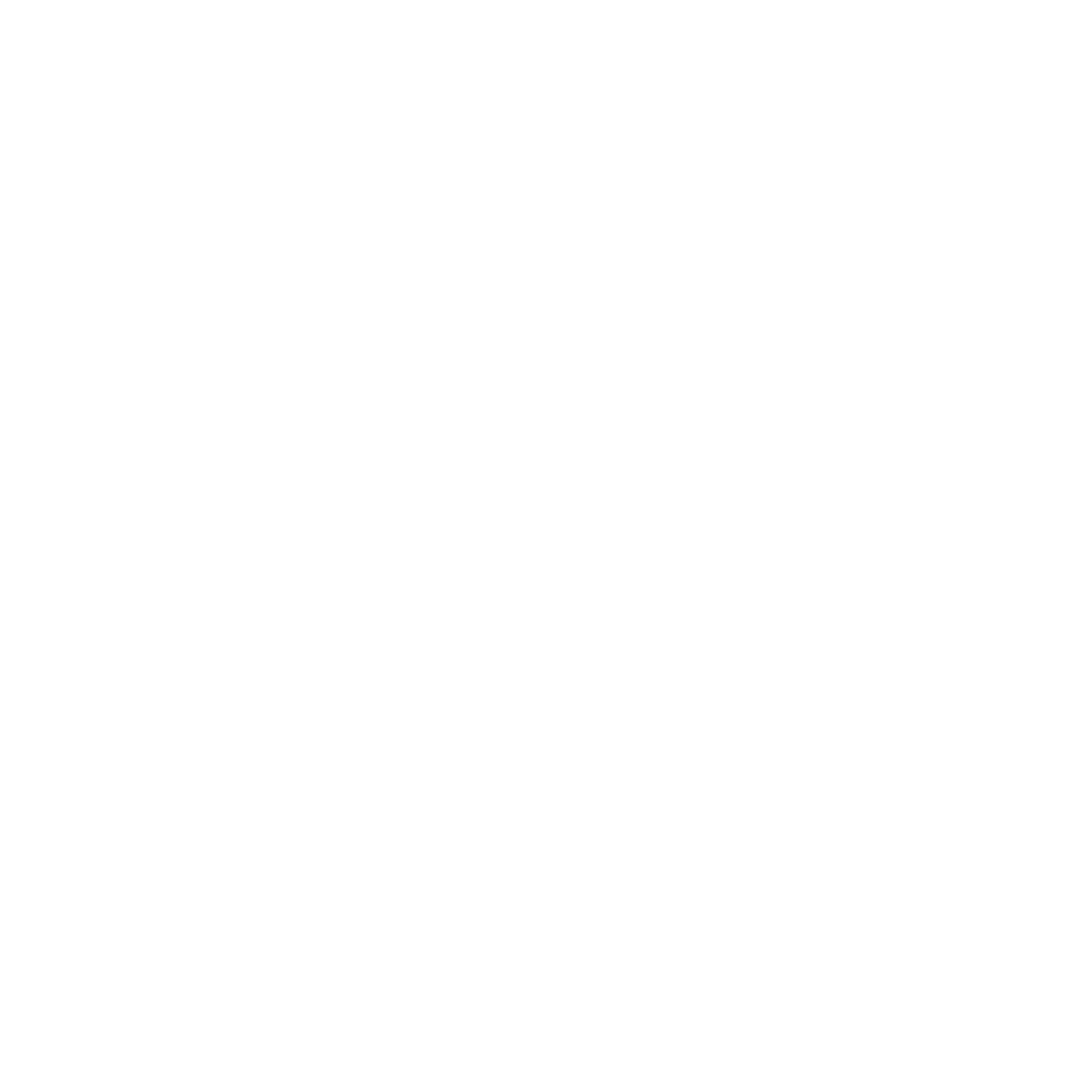 STORM PARIS